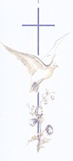 Symbole